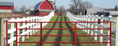 Cattle Fencing